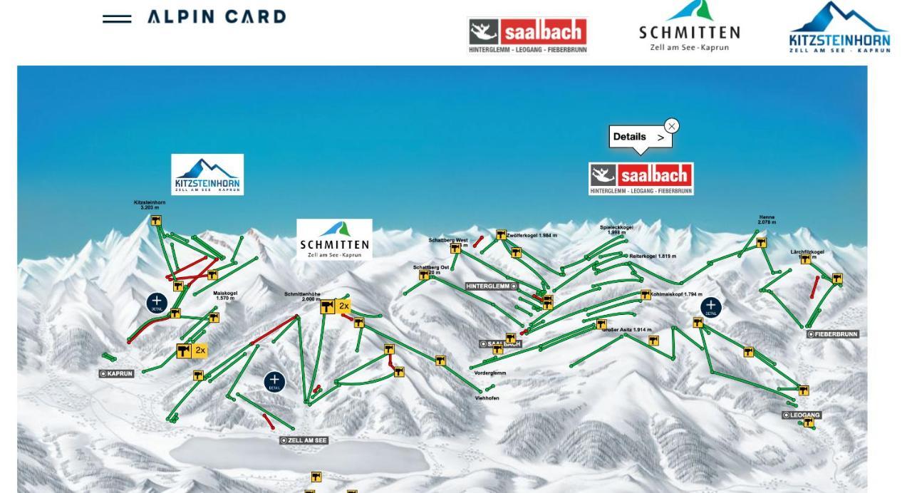 Magali'S, Bed & Breakfast - Inclusive Summer Card Zell am See Exterior photo